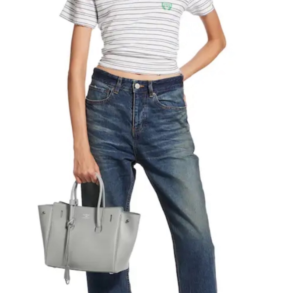 Balenciaga mini Hampton Elegant Gray Tote Bag